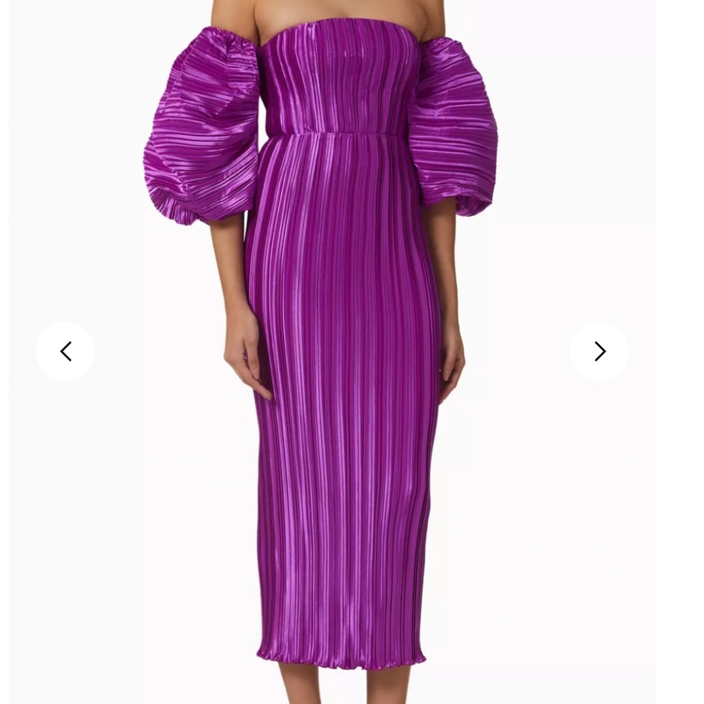 NWT Sirene Pleated Gown Grape